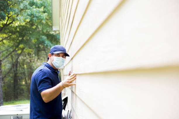 Trusted Calico Rock, AR Siding Experts